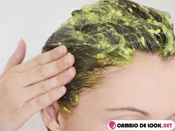 mascarilla para cabello seco