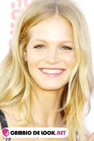 Erin Heatherton pelo recogido look